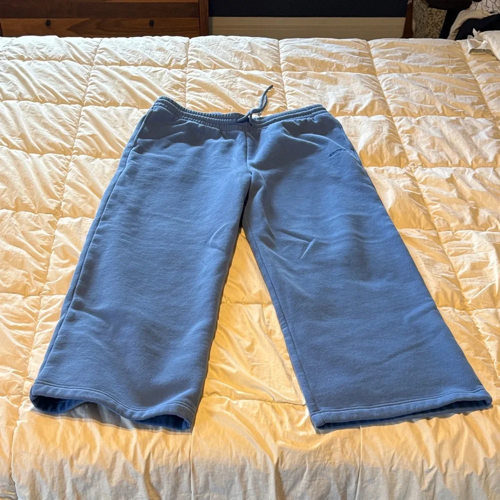 Aritzia Cozy Sweatfleece Boyfriend Wide Sweatpant French blue - Picture 6 of 6